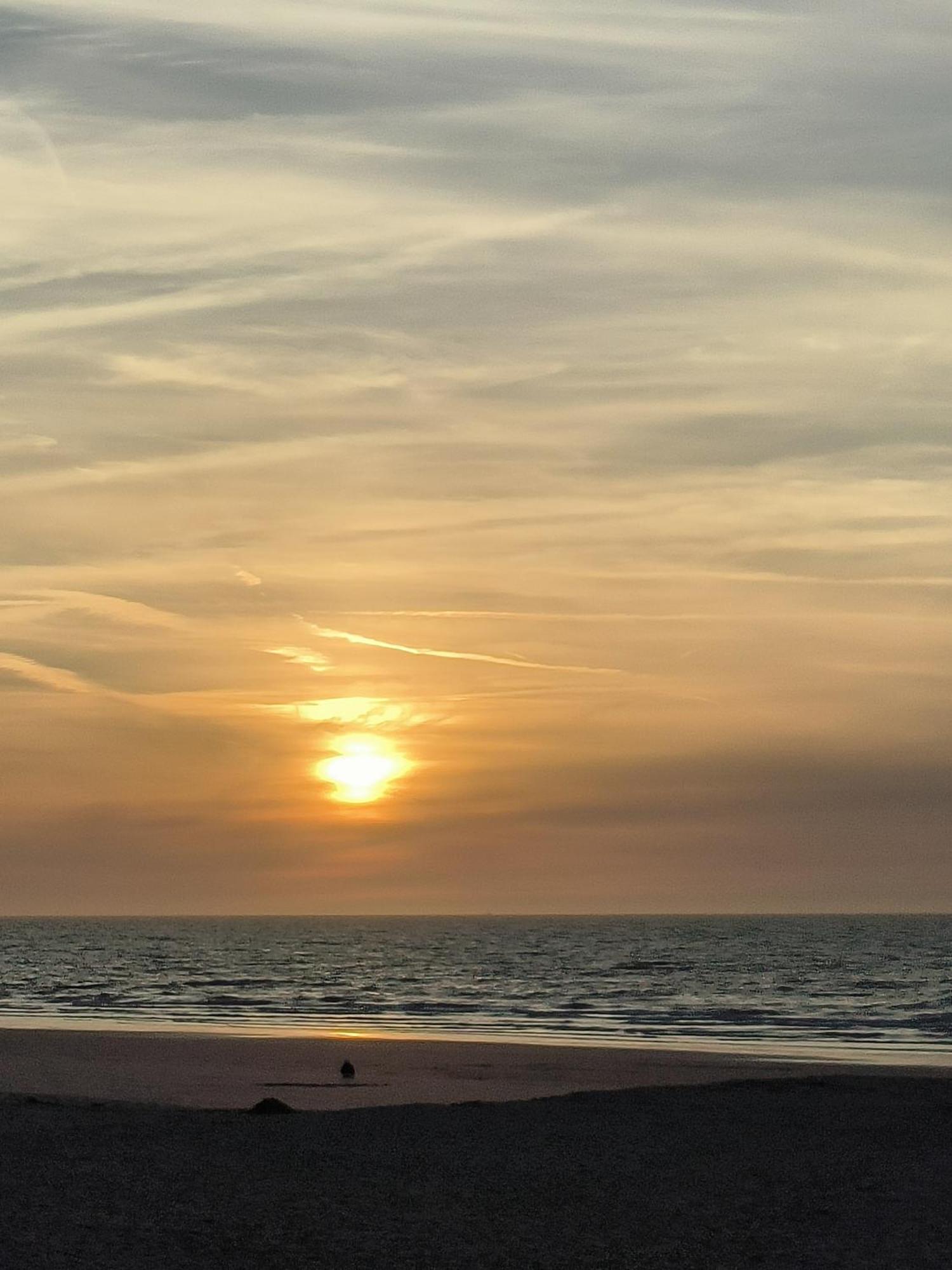 Chez Sophie Daire Oostende Dış mekan fotoğraf